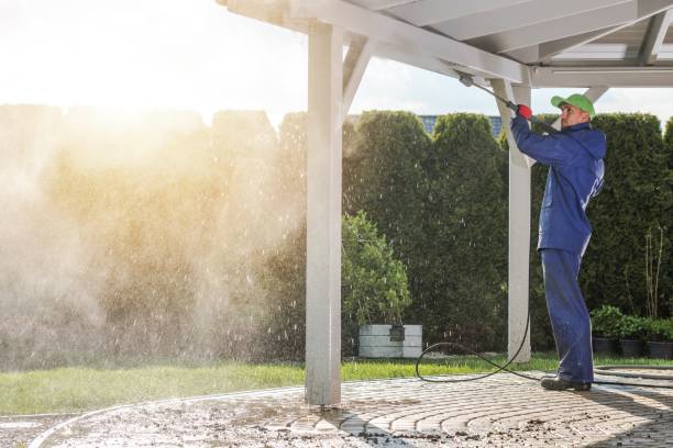 Best Solar Panel Cleaning  in Northdale, FL